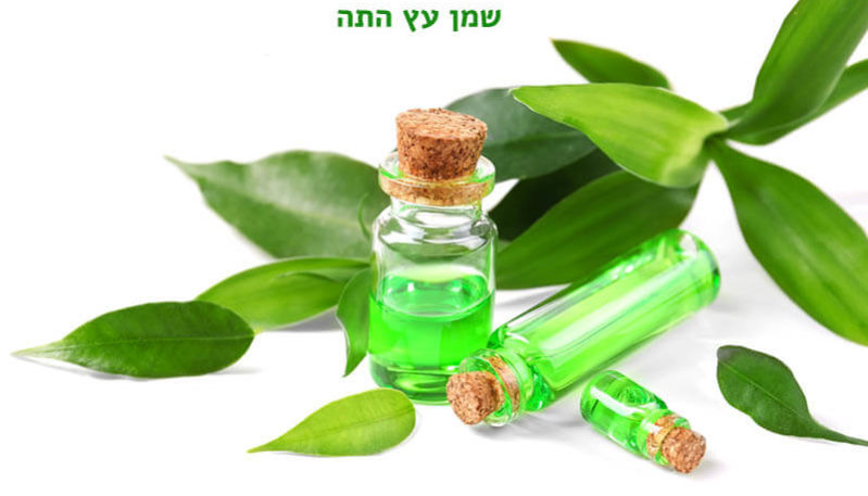 שמן עץ התה שמן עץ התה איפה קונים, מידע, יתרונות בריאותיים